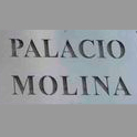 Logo Palacio Molina