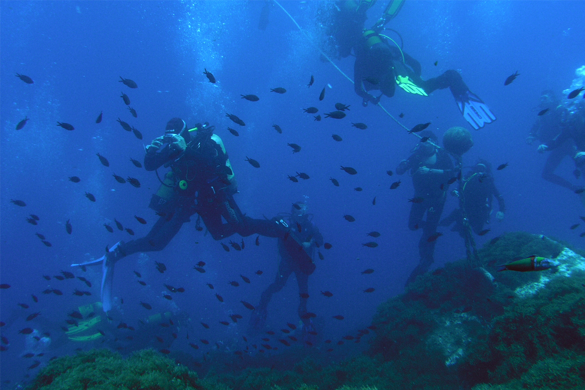 Cabo Palos Diving